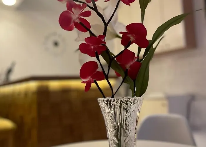 Tara Lux * Σάμπατς